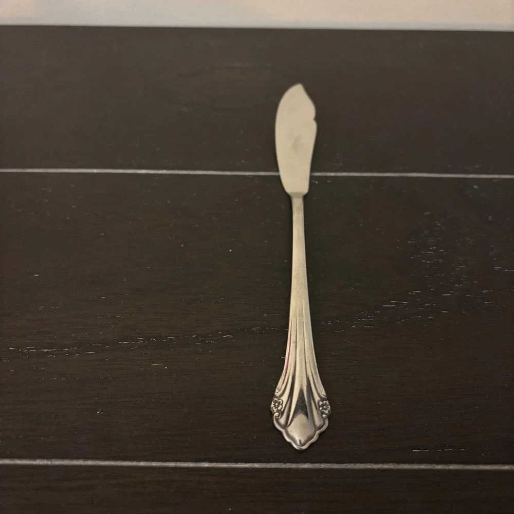 Oneida 1881 Rogers Stainless | Bittersweet Repose | Butter Knife | Floral 6.75